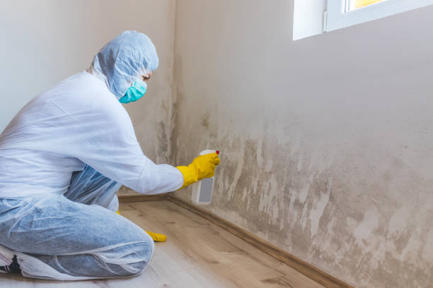 Licensed Mold Testing service in Paeonian Springs, VA - WQB Mold Removal