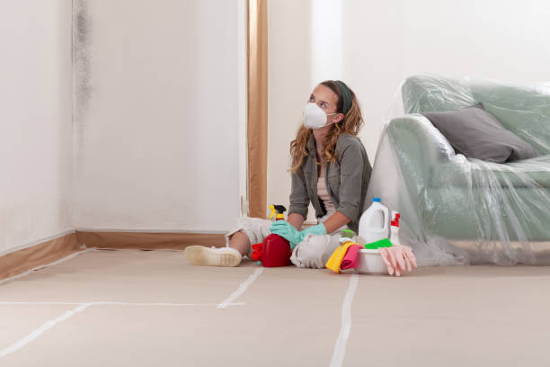 Reliable Mold Testing contractor in Paeonian Springs, VA by WQB Mold Removal